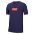 Nike FFF Travel Short-Sleeve Erkek Tişört