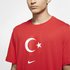 Nike Türkiye Evergreen Crest Short-Sleeve Erkek Tişört