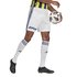adidas Fenerbahçe SK 2020-2021 İç Saha Erkek Şort