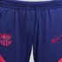 Nike F.C. Barcelona Strike Knit Football Erkek Eşofman Altı