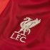 Nike Liverpool FC 2021-2022 Stadyum İç Saha Erkek Şort