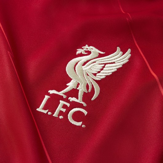 Nike Liverpool FC 2021-2022 Stadyum İç Saha Erkek Forma