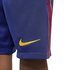 Nike F.C. Barcelona 2020-2021 Stadium Home/Away Football Çocuk Şort