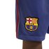 Nike F.C. Barcelona 2020-2021 Stadium Home/Away Football Çocuk Şort