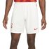 Nike Galatasaray 2021-2022 Stadyum Üçüncü Takım Erkek Şort