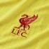 Nike Liverpool F.C. 2021-2022 Stadium Üçüncü Takım Erkek Forma