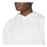 Nike Sportswear Oversized Fleece Graphic Opal Shine Hoodie Kadın Sweatshirt